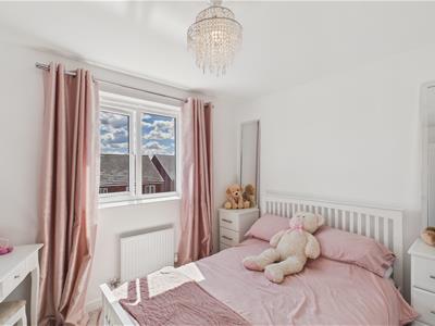 Picture 24